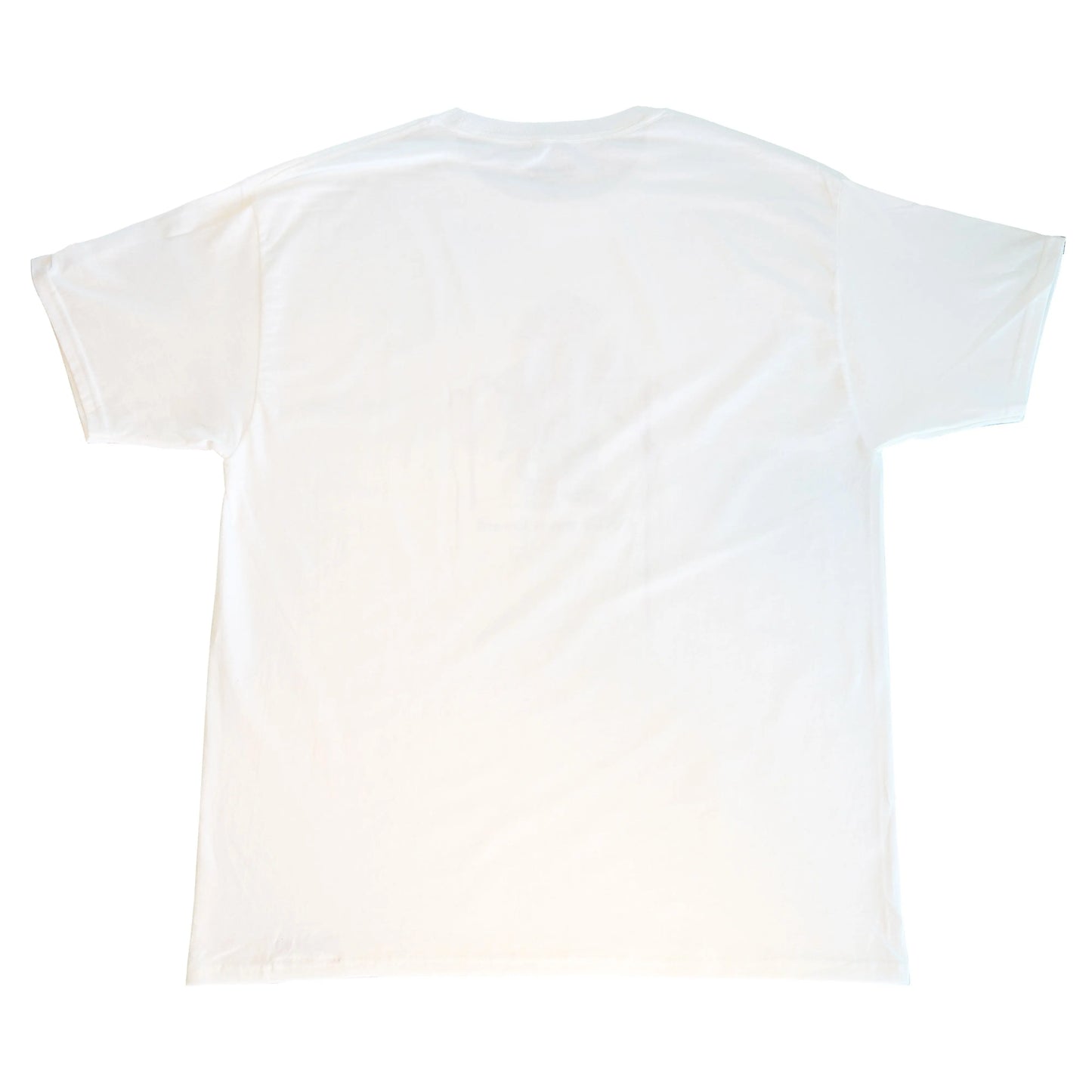 Summer Bear TRVPTCLOTHING